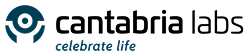 Logotipo Árbol de la Seda